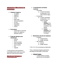 Mecanismos de Transporte