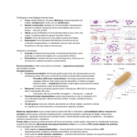 BACTERIOLOGIA CLÍNICA - RESUMO