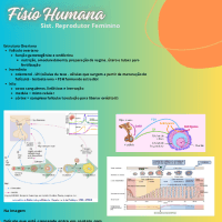 Fisio Humana - Sist. Reprodutor Fem