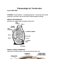Paleontologia de Vertebrados - Resumo