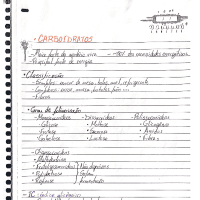 Bases - carbo, proteinas e lipidios