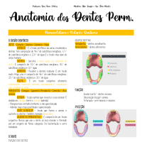 CADERNO ANATO DENTAL 2022
