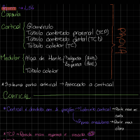 Histologia Vet II - Prática Sistema Urinário