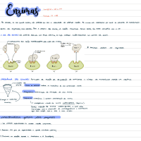 Enzimas_231004_142245