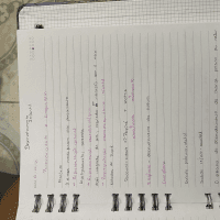 Aula 1 desenvolvimento infantil