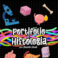 Portifólio de Histologia