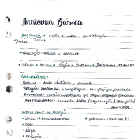 Introdução à Anatomia