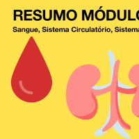 Lâminas de sangue, sistema ocular e sistema urinário 