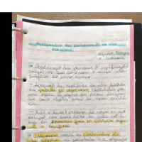 Fundamentos do Conhecimento na Vida Cotidiana