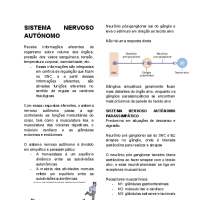 SISTEMA NERVOSO AUTÔNOMO