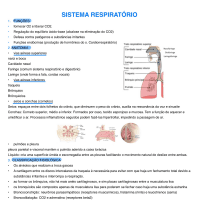 fisiologia do sistema respiratório
