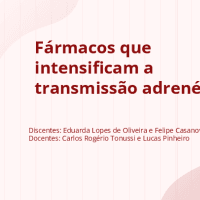 Fármacos que intensificam a transmissão adrenérgica 