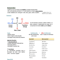 Bioquímica - P1