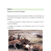 Ecologia de comunidades - Competição