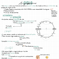 Ciclo das Angiosp./Desenvolvimento Embrionário